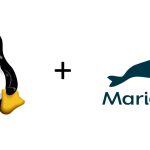 Debian – Mise en place de MariaDB